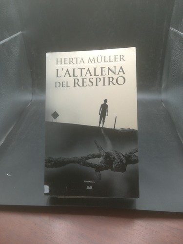 Altalena del respiro - l'altalena,