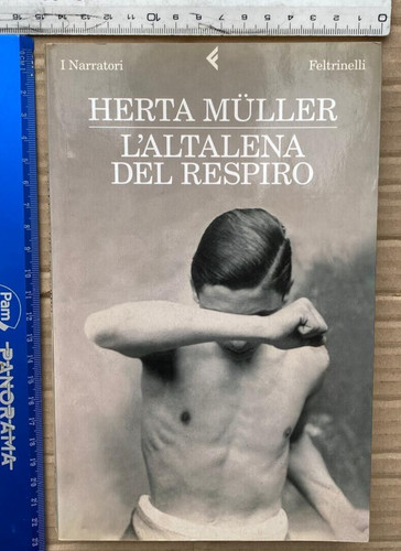 Herta muller altalena - l'altalena, del
