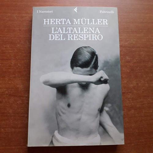 Muller altalena del - -,