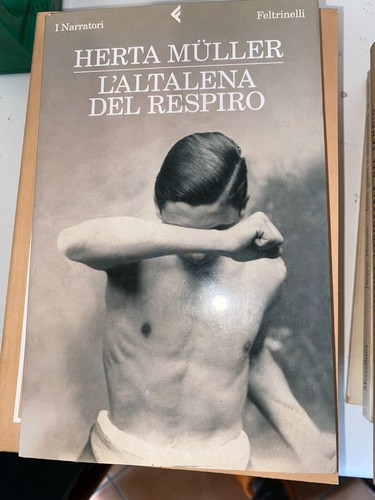 Muller altalena del - -, l'altalena